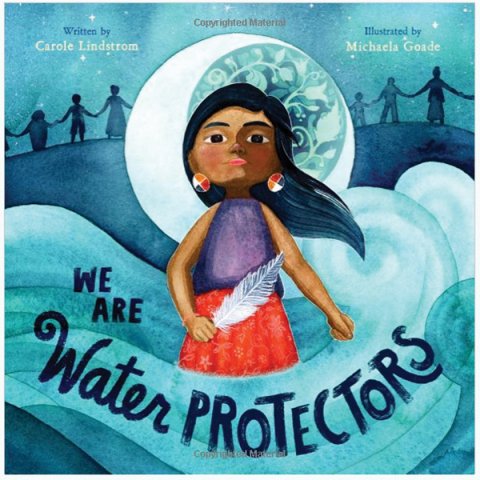 we are the water protectors book
