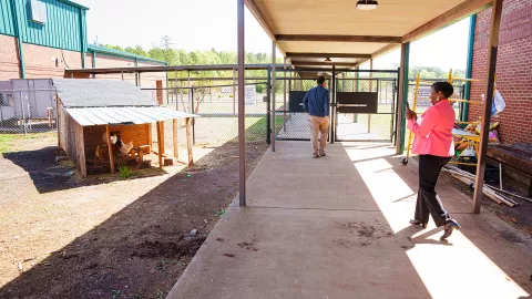 NEA President Becky Pringle takes a photo of a Georgia elementary school's outdoor chicken coop.