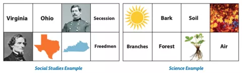 Two 2x4 grids with related words and image that demonstrated sorting One example uses the Civil War. The other uses life science.