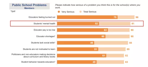 Poll results of public school problems