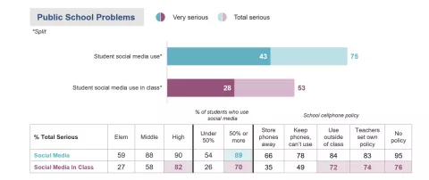 public school problems poll results