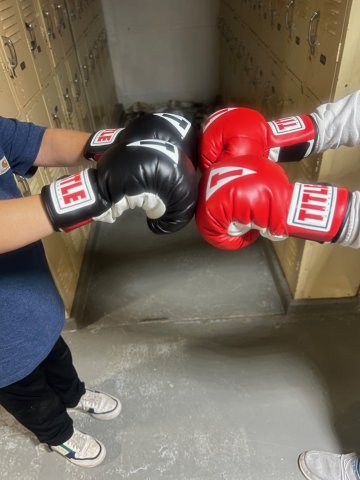 Boxing intervention program