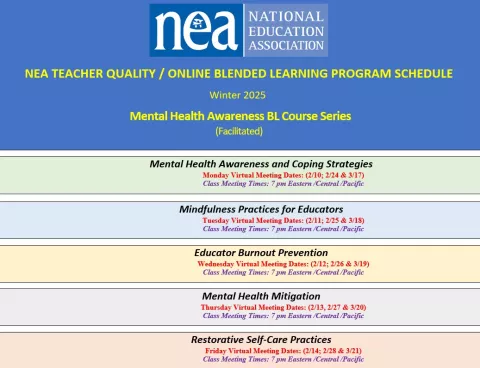 Mental Health Blended Learning schedule