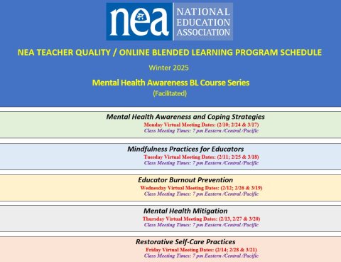 Mental Health Blended Learning schedule